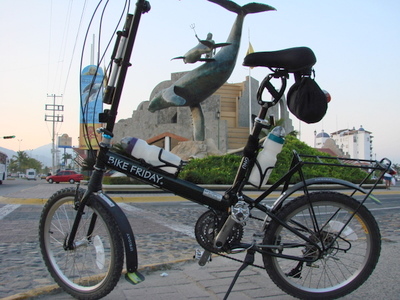 BikeFriday, Neptune, Humpback Whale, and Calf.